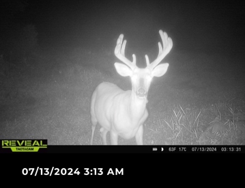 Listing 38