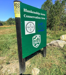 Blankenship Acres | 216 Acres in Virginia’s Elk Country - image 16