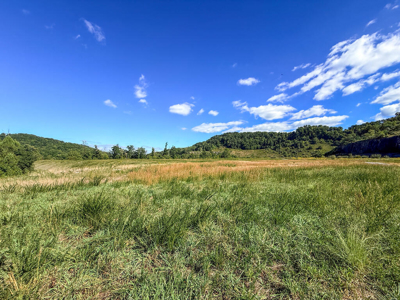 Blankenship Acres | 216 Acres in Virginia’s Elk Country - image 40