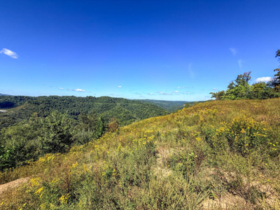 Blankenship Acres | 216 Acres in Virginia’s Elk Country - image 24