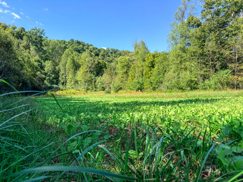 No Caption