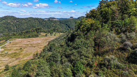 Blankenship Acres | 216 Acres in Virginia’s Elk Country - image 7