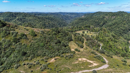 Blankenship Acres | 216 Acres in Virginia’s Elk Country - image 4