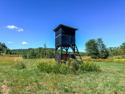 Blankenship Acres | 216 Acres in Virginia’s Elk Country - image 18