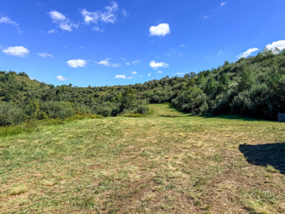 Blankenship Acres | 216 Acres in Virginia’s Elk Country - image 32