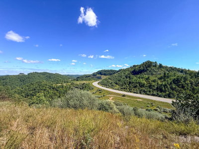 Blankenship Acres | 216 Acres in Virginia’s Elk Country - image 29