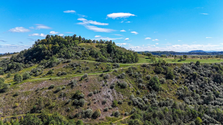 Blankenship Acres | 216 Acres in Virginia’s Elk Country - image 8