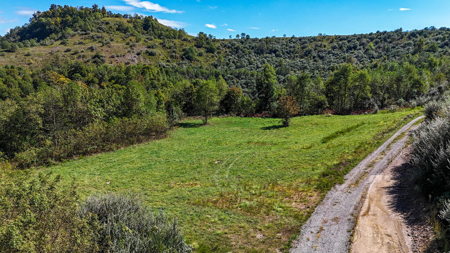 Blankenship Acres | 216 Acres in Virginia’s Elk Country - image 11