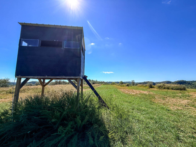 Blankenship Acres | 216 Acres in Virginia’s Elk Country - image 30