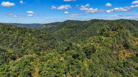 Blankenship Acres | 216 Acres in Virginia’s Elk Country - image 13