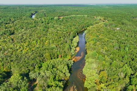 369± acres of premier recreational and hunting land in Eau Claire - image 4