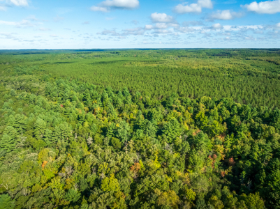 369± acres of premier recreational and hunting land in Eau Claire - image 18