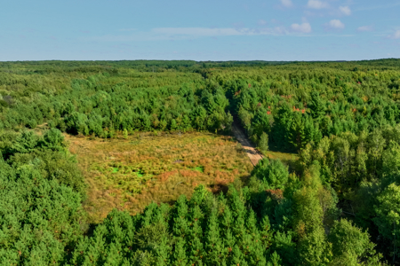 369± acres of premier recreational and hunting land in Eau Claire - image 21