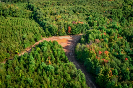 369± acres of premier recreational and hunting land in Eau Claire - image 22