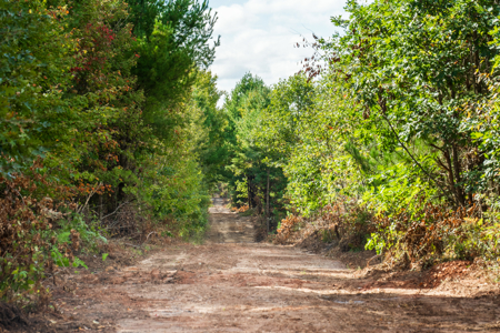 369± acres of premier recreational and hunting land in Eau Claire - image 34