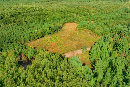 369± acres of premier recreational and hunting land in Eau Claire - image 20