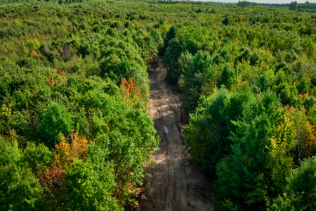 369± acres of premier recreational and hunting land in Eau Claire - image 24