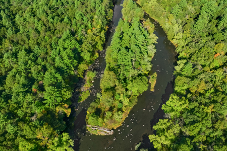 369± acres of premier recreational and hunting land in Eau Claire - image 19