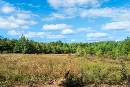 369± acres of premier recreational and hunting land in Eau Claire - image 9