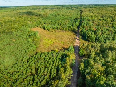 369± acres of premier recreational and hunting land in Eau Claire - image 16