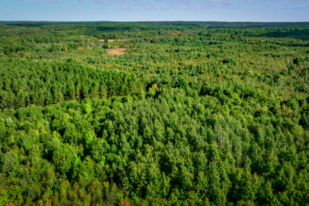 369± acres of premier recreational and hunting land in Eau Claire - image 26