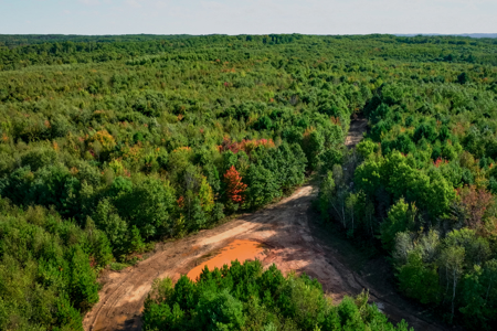 369± acres of premier recreational and hunting land in Eau Claire - image 23