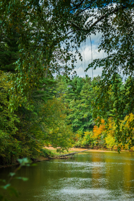 369± acres of premier recreational and hunting land in Eau Claire