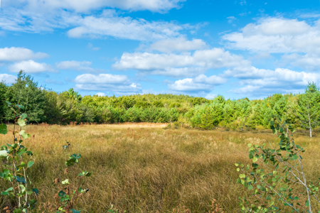 369± acres of premier recreational and hunting land in Eau Claire - image 10