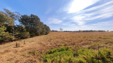 Country Home on 79 Acres in Alton | The Missouri Ozarks - image 38
