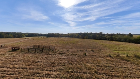 Country Home on 79 Acres in Alton | The Missouri Ozarks - image 29