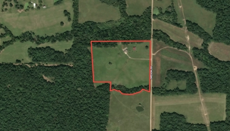 Country Home on 79 Acres in Alton | The Missouri Ozarks - image 2