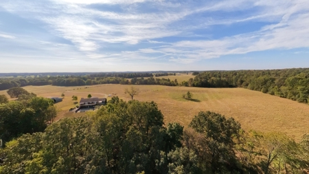 Country Home on 79 Acres in Alton | The Missouri Ozarks - image 39