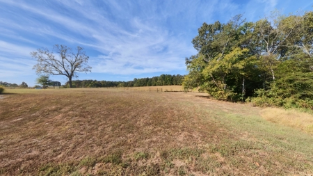 Country Home on 79 Acres in Alton | The Missouri Ozarks - image 36