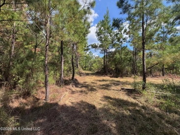 Listing 32