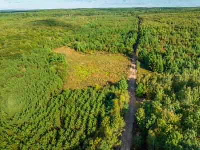 204.74± acres of premier recreational and hunting land in Eau Cla - image 6