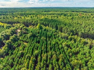 204.74± acres of premier recreational and hunting land in Eau Cla - image 7