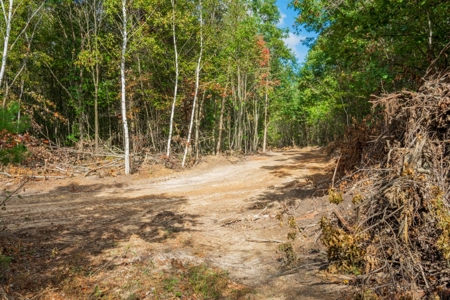 204.74± acres of premier recreational and hunting land in Eau Cla - image 19