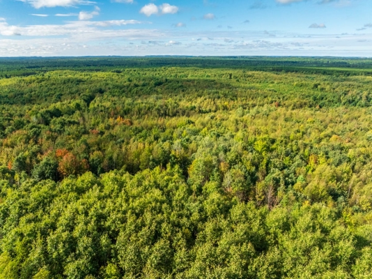 204.74± acres of premier recreational and hunting land in Eau Cla
