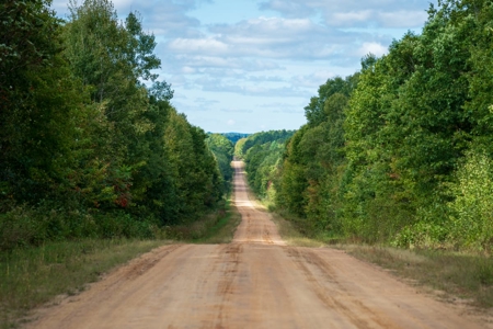 204.74± acres of premier recreational and hunting land in Eau Cla - image 29