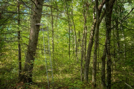 204.74± acres of premier recreational and hunting land in Eau Cla - image 28