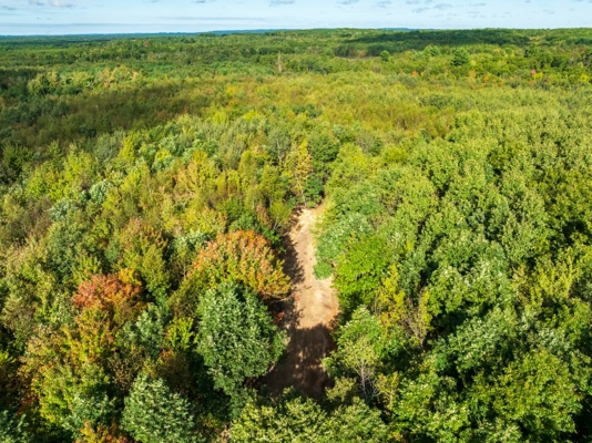 204.74± acres of premier recreational and hunting land in Eau Cla