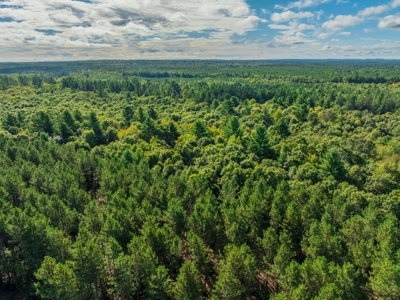 204.74± acres of premier recreational and hunting land in Eau Cla - image 8