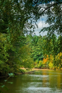 204.74± acres of premier recreational and hunting land in Eau Cla - image 33