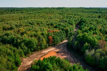 204.74± acres of premier recreational and hunting land in Eau Cla - image 12