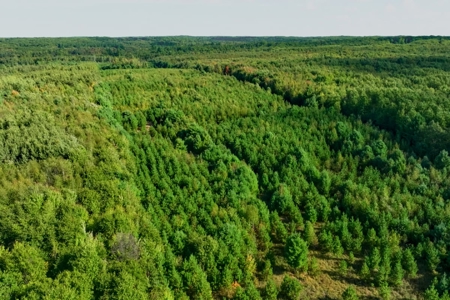 200± acres of Western Wisconsin recreational country Eau Claire C - image 5