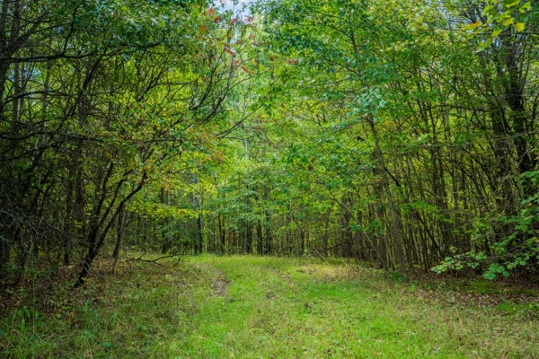 200± acres of Western Wisconsin recreational country Eau Claire C