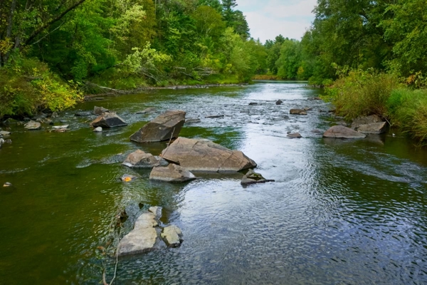 200± acres of Western Wisconsin recreational country Eau Claire C
