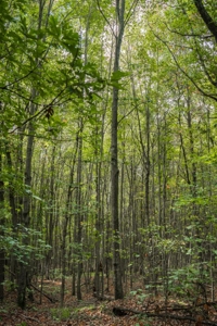 200± acres of Western Wisconsin recreational country Eau Claire C - image 15