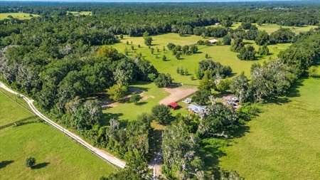 Affordable Small Ranch in Horse Country, Ocala Florida - image 45