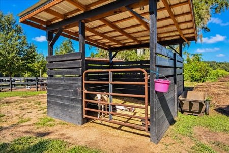 Affordable Small Ranch in Horse Country, Ocala Florida - image 39